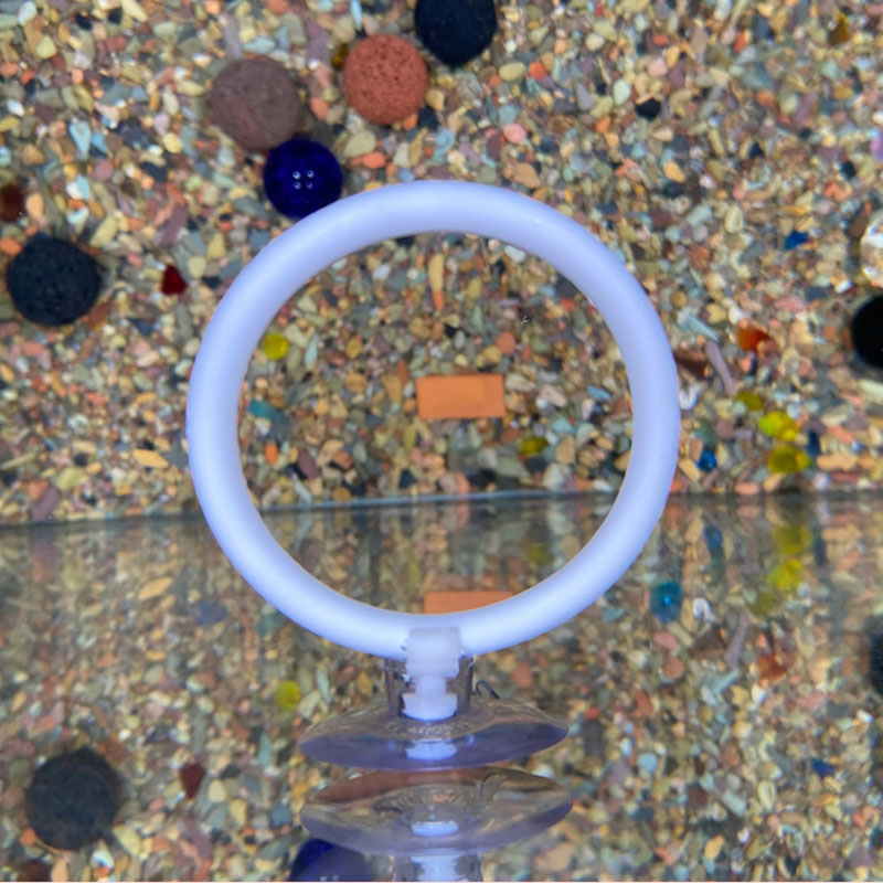 Gymnastic Ring - 1個入り プラスチック製水槽用人工トレーニングリングフープセット 吸盤付き ベタ魚用インタラクティブプレイ リラックス 隠れおもちゃ